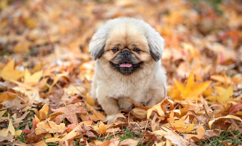 熱海で女子旅におすすめの楽しみ方は？