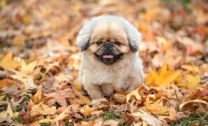 熱海の美肌効果が期待できる温泉はどこ？