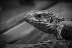 女子旅にぴったりのおすすめ宿プランは？