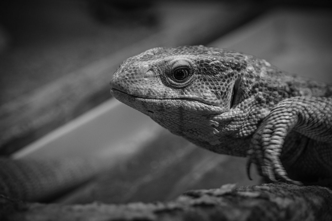 女子旅にぴったりのおすすめ宿プランは？