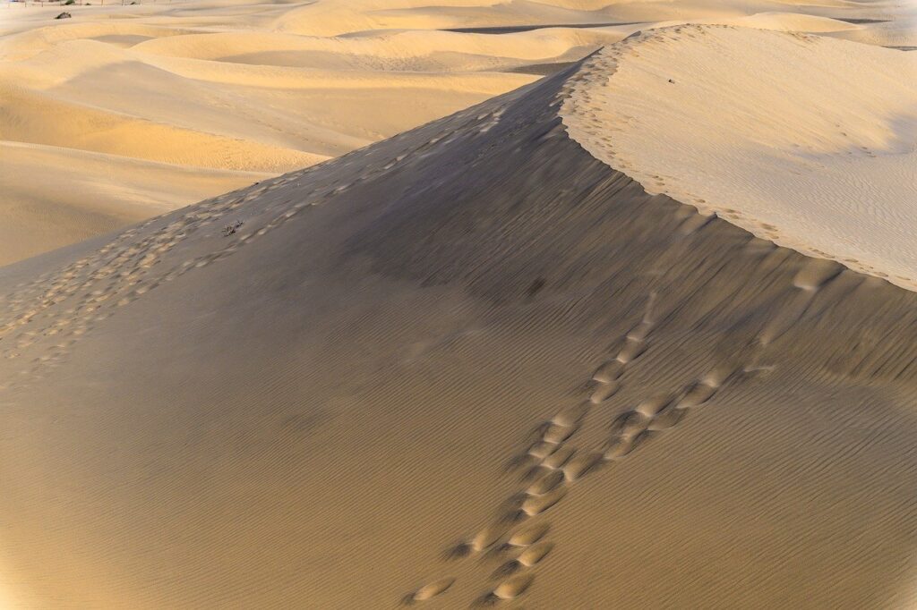 大人女子が楽しむ温泉でのリラックス方法は？