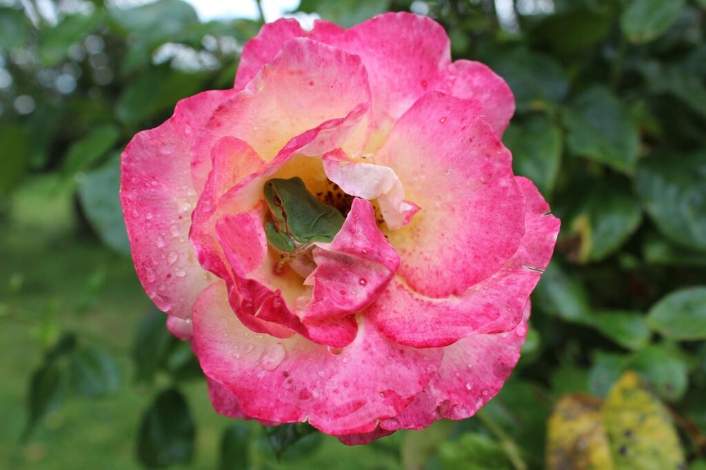 隠れ家宿で女性におすすめの癒しの滞在先は？