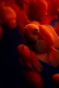 年末年始にぴったりな女子旅プランは？