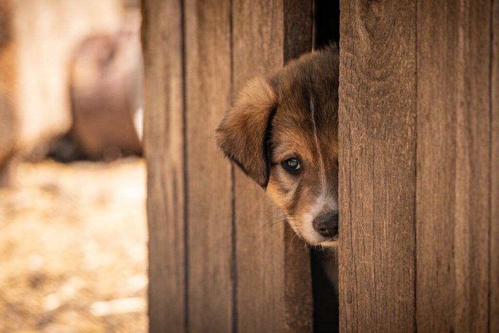 一人でも気まずくない宿はどこ？おすすめの選び方と注意点は？